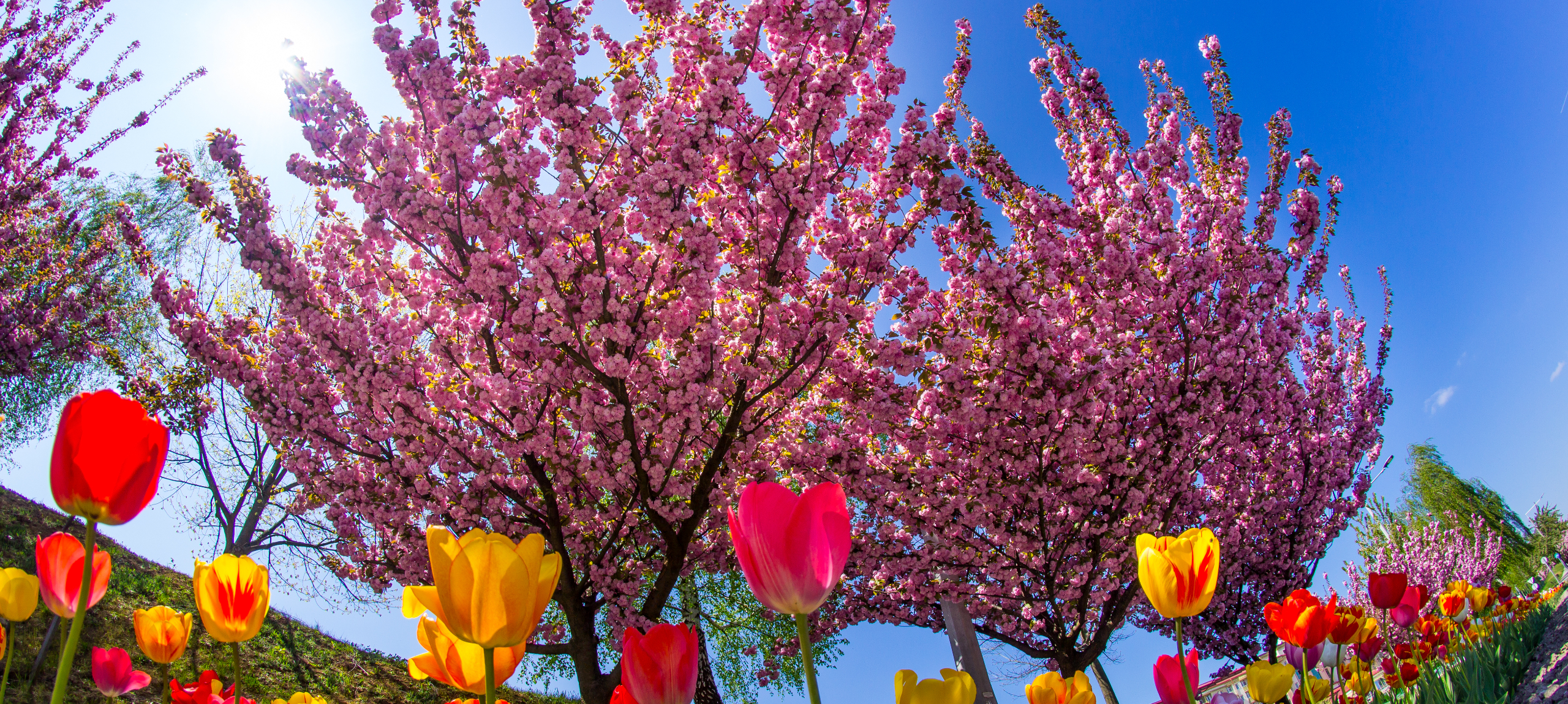 Zalakaros - Hunguest Hotel Freya - Május 1. hosszú hétvége Zalakaroson